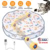 Cat Toys Ball Fast Rolling in Pouch Rechargeable Motion Activated Interactive Cat Toys for Indoor Cats Hide And Seek Mouse Catching Game