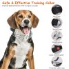 Adjustable Dog Choke Collar Training Chain Dog Necklace with Buckle for Small Medium Large Dogs